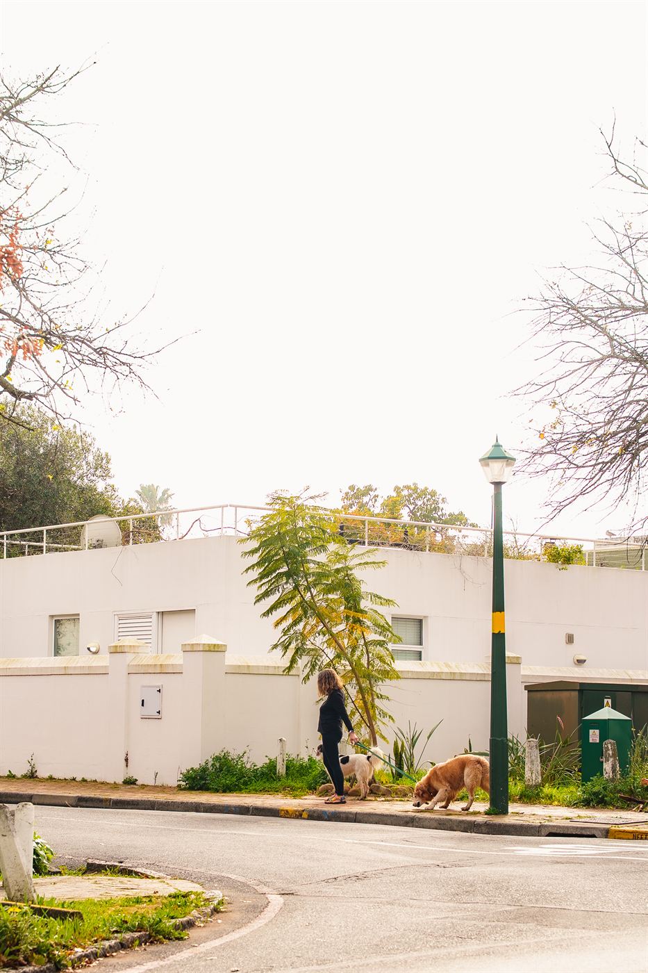 Street photography — person walking two dogs past a white wall and green lamppost